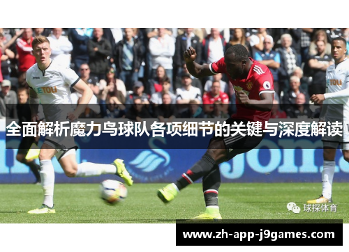 全面解析魔力鸟球队各项细节的关键与深度解读