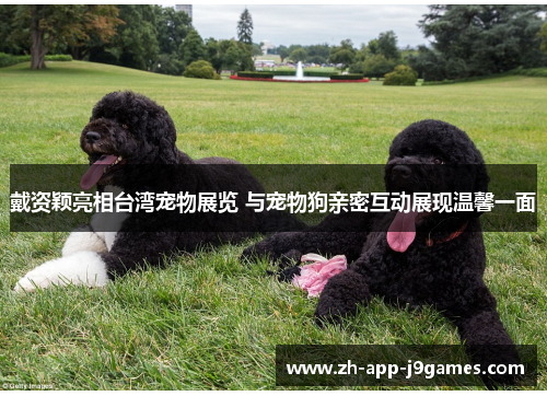 戴资颖亮相台湾宠物展览 与宠物狗亲密互动展现温馨一面 戴资颖亮相台湾宠物展览 与宠物狗亲密互动展现温馨一面